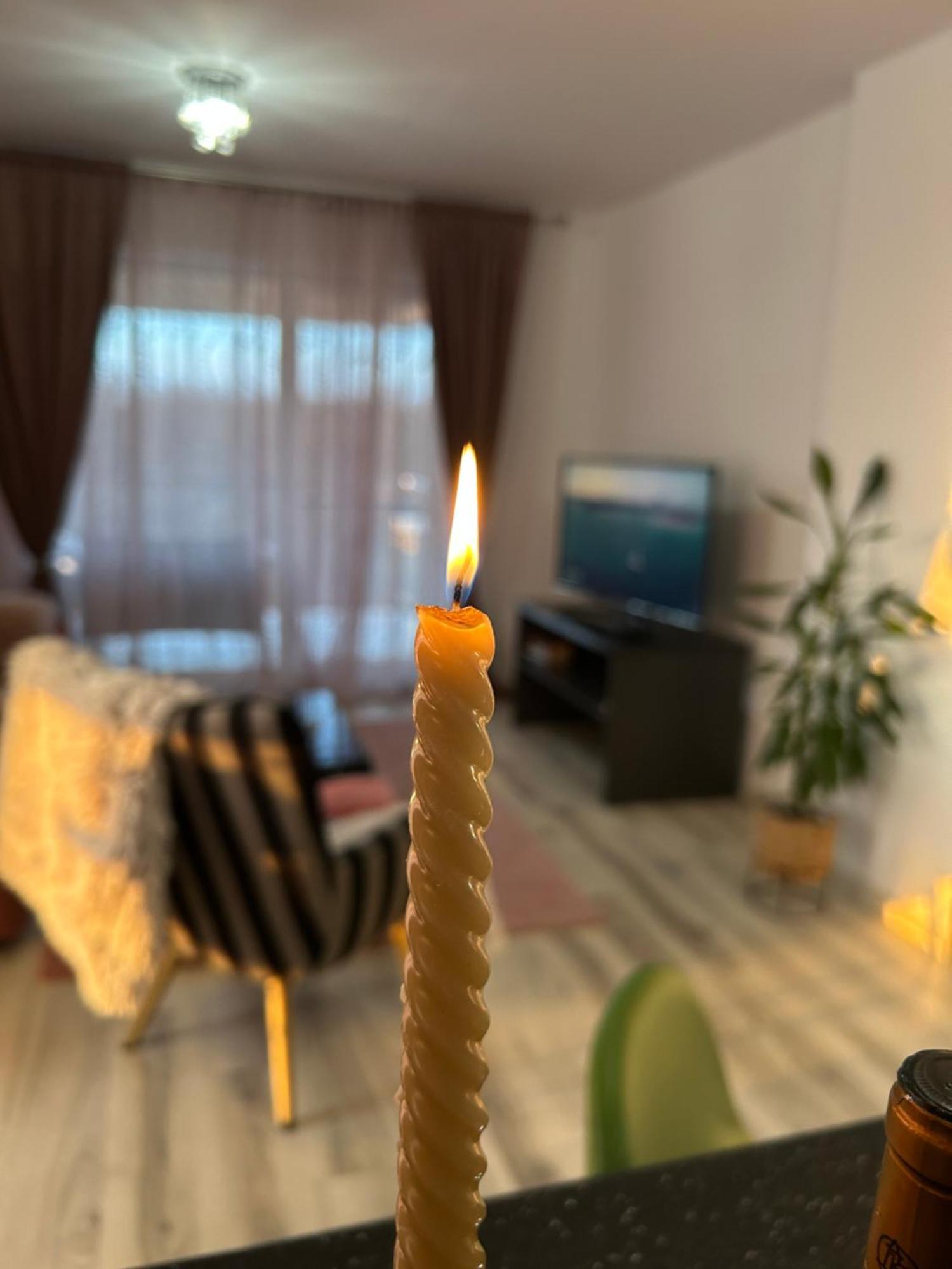 Foresthouse 1 티미쇼아라 외부 사진